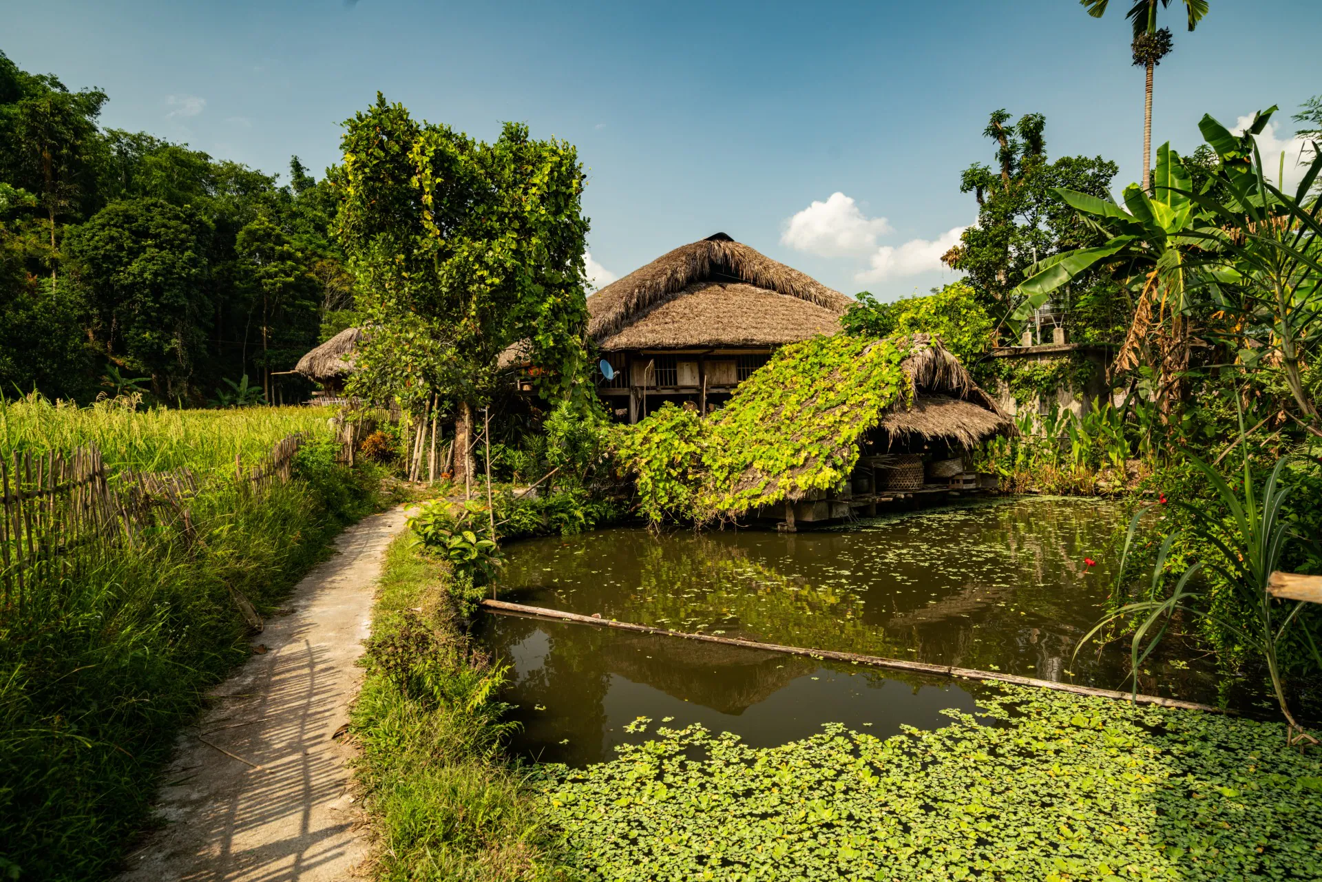 slow-living-indonesian-village